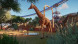 Игра Planet Zoo: Console Edition [PS5, английская версия] в Рязани