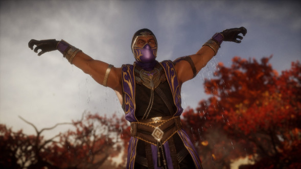 Mortal Kombat 11: Ultimate [PS4, русская версия] в Рязани