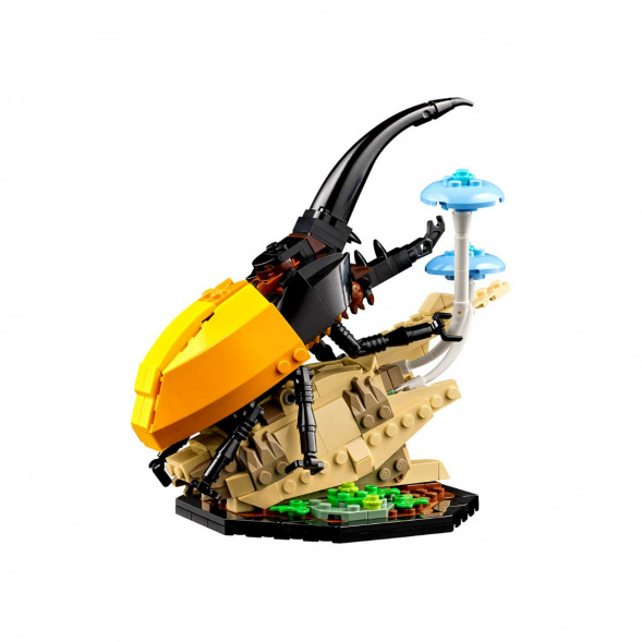 Конструктор LEGO Ideas 21342 Коллекция насекомых в Рязани