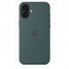 Чехол Apple для iPhone 16 Plus Silicone MagSafe,  Lake Green (MYYH3ZM/A) в Рязани