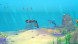 Игра Dolphin Spirit: Ocean Mission [Nintendo Switch, русские субтитры] в Рязани