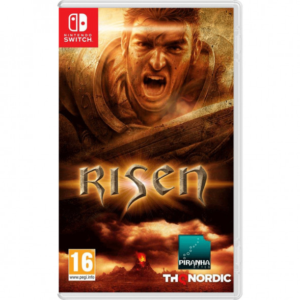 Игра Risen [Nintendo Switch, русская версия] в Рязани