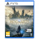 Игра Hogwarts Legacy. Exclusive DLC Astronomers Hat [PS5, русские субтитры] в Рязани