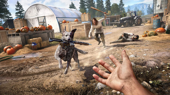 Игра Far Cry 5 [PS4, русская версия] в Рязани