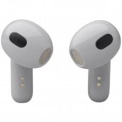 Беспроводные наушники JBL Live Flex 3, Silver