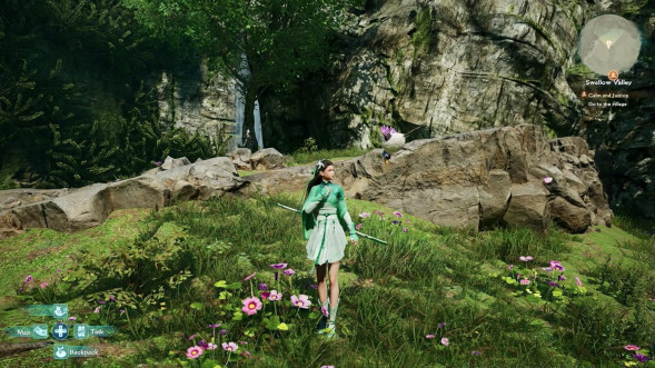 Игра Sword and Fairy: Together Forever [PS4, английская версия] в Рязани